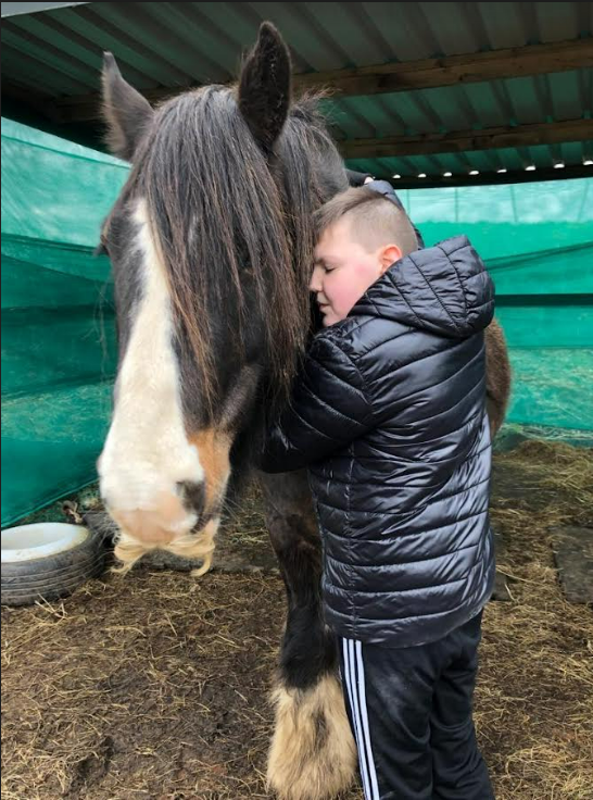 Young boy hugging a horse
