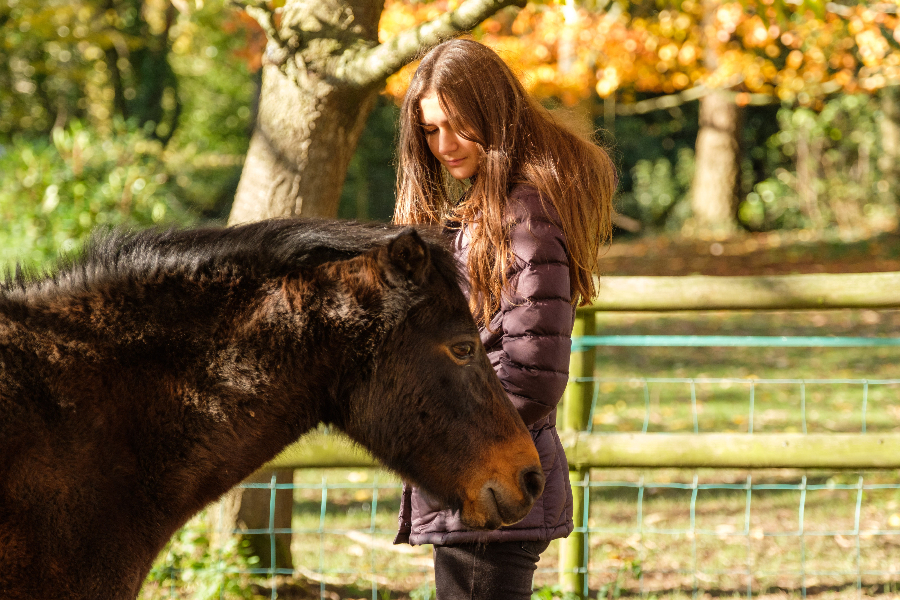 Young woman approaching a horse from the side