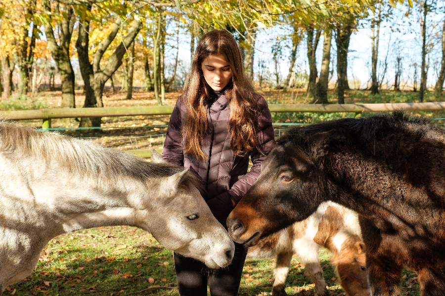 Young woman watching two horses nuzzling
