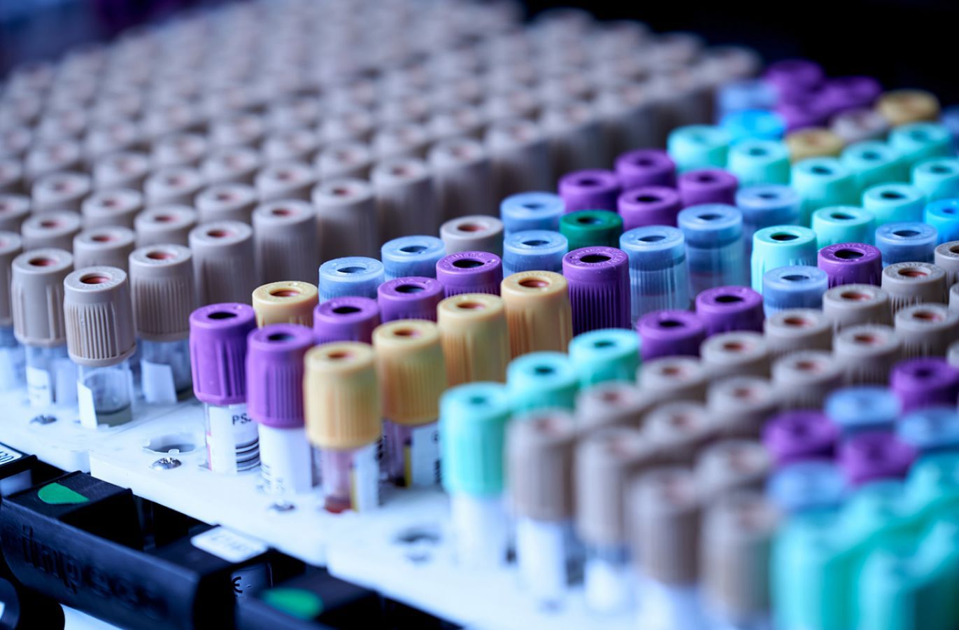 Medicine Anthropology Theory