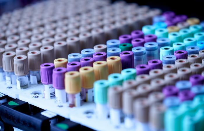 Medicine Anthropology Theory